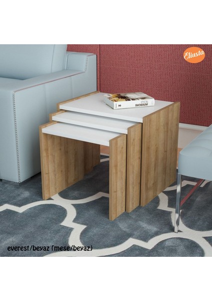 Zigon Sehpa 3 Lü Sehpa fırsatları