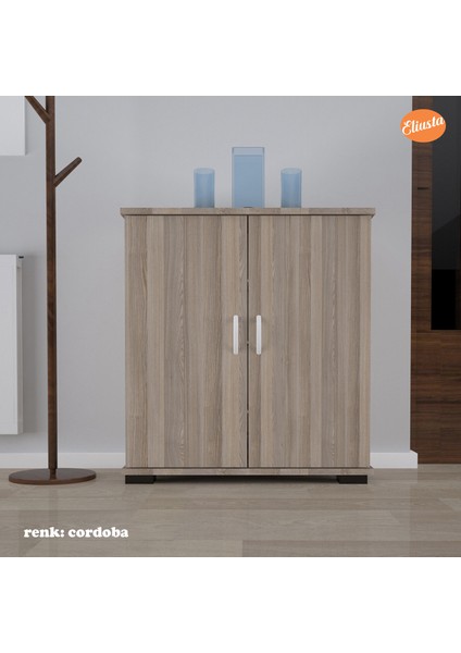 Ayakkabılık 2 Kapaklı Ayakkabı Dolabı Çok Amaçlı Dolap Mutfak Dolabı Ofis Dolabı