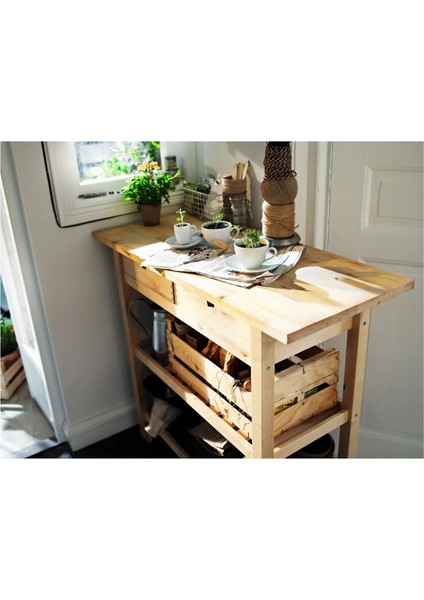 Förhöja Servis Arabası Huş 100X43X90 cm