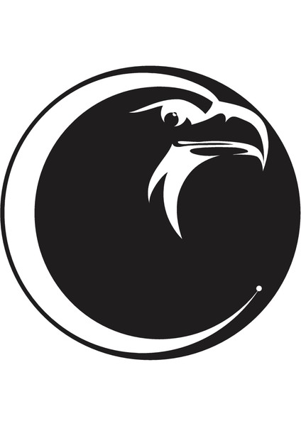 Kartal Desen Duvar Dekor Sticker 40 x 40 cm