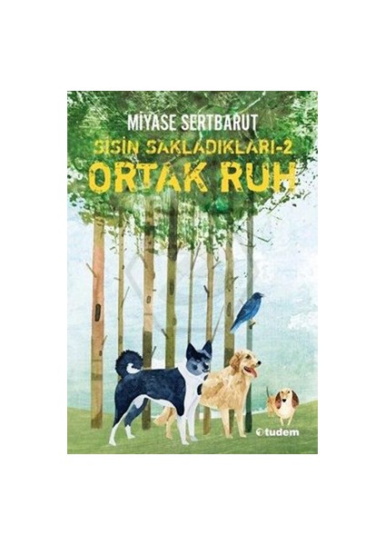 Sisin Sakladıkları 2 - Ortak Ruh - Tudem Yayınları