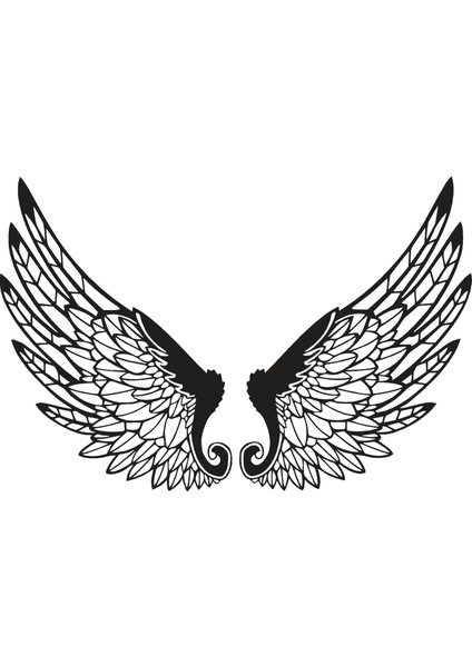 Anka Kuşu Kanadı Duvar Dekor Sticker 60 x 20 cm