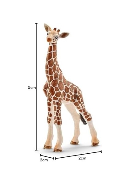 Life-Yavru Zürafa modelleri