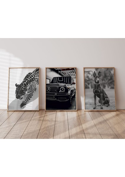 (Çerçevesiz) Siyah Beyaz Lüks Poster Moda Posteri, Ev Dekorasyonu, Oturma Odası Dekoru modelleri