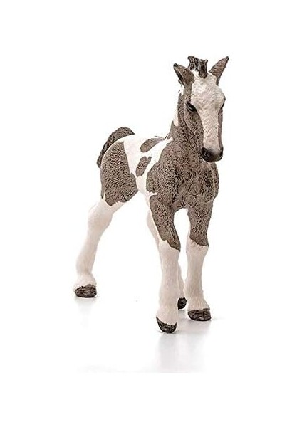 World-Tinker Tay fiyatları