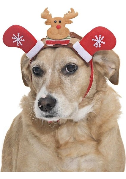 Küçük Orta ve Büyük Irk Köpekler Için Taç Reindeer
