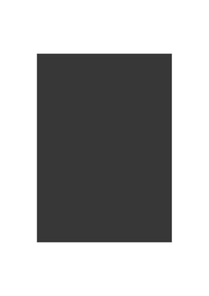 Eren 50X70 Renkli Mukavva Siyah Tutp2