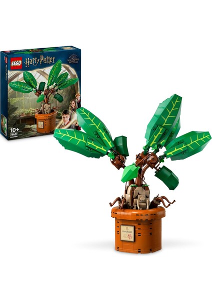 Harry Potter Adamotu 76433 - 10 Yaş ve Üzeri Harry Potter Seven Kız ve Erkek Çocukları Için Koleksiyonluk Saksılı Adamotu Oyuncak Figürü Yapım Seti, Çocuklar Için Doğum Günü Hediyesi (579 Parça)