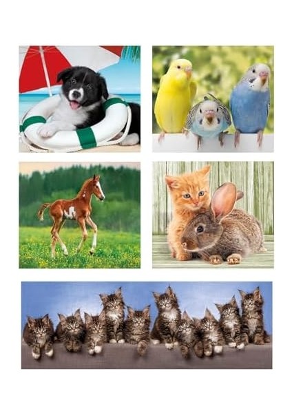 10W1 Super Kolor Animal Friends modelleri