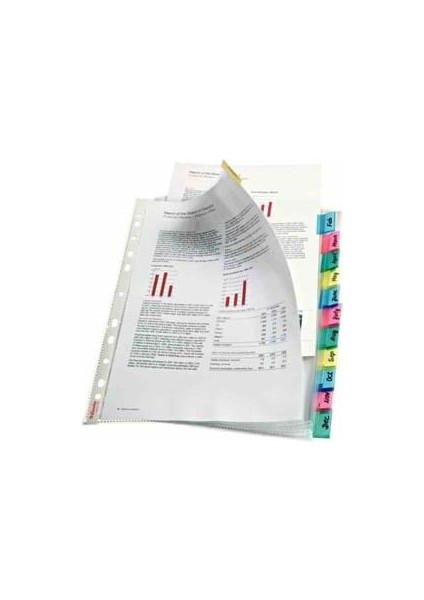 Esselte Ayraçlı Poşet Dosya 12 Renk SLT-414170