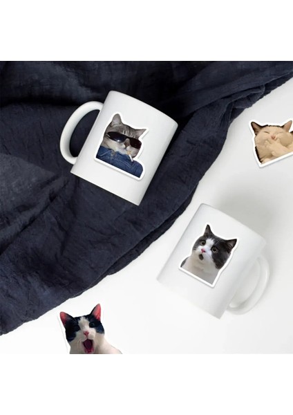 Çılgın Kediler Macbook Notebook Tablet Telefon Ajanda Laptop Defter Sticker Seti modelleri