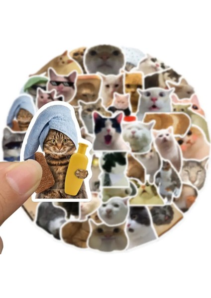 Çılgın Kediler Macbook Notebook Tablet Telefon Ajanda Laptop Defter Sticker Seti indirimleri