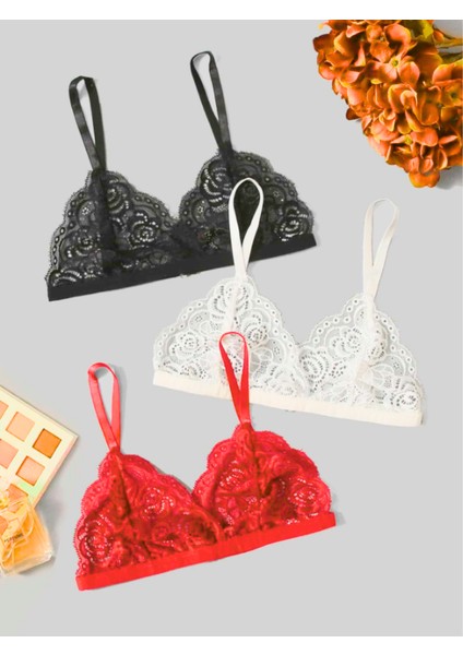 Tegan Fantezi 3'lü Seksi Dantel Sütyen Seti TG279257