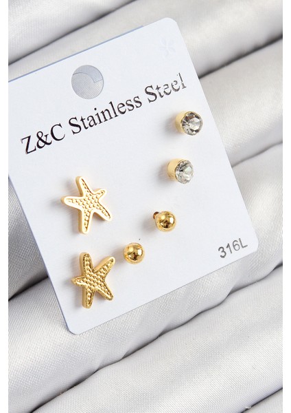 Tegan 316L Çelik Zirkon Taşlı Deniz Yıldızı Model Gümüş Renk Kadın Set Küpe TG27BKP11120