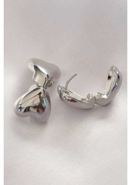 Tegan Pirinç Gümüş Renk Minimal Bombeli Kalp Küpe TG27BKP8969 fiyatları