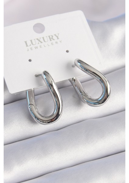 Tegan Pirinç Gümüş Renk Halka Model Kadın Küpe TG27BKP8716