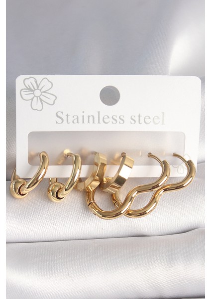 Tegan 316L Çelik Gold Renk Kalp Halka Model Kadın Küpe Seti TG27BKP10386