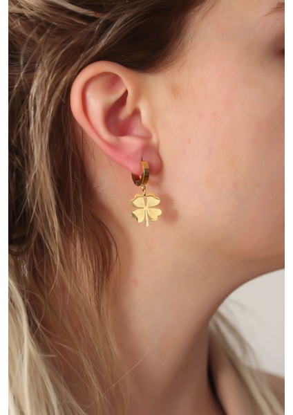 Tegan 316L Çelik Gold Renk Yonca Küpe TG27BKP6327 fiyatları