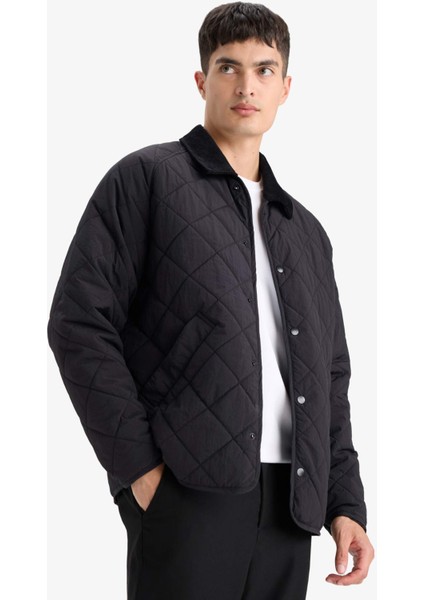 Regular Fit Gömlek Yaka Çıtçıtlı Kapitoneli İç Cepli Mont F0956AX25AU modelleri