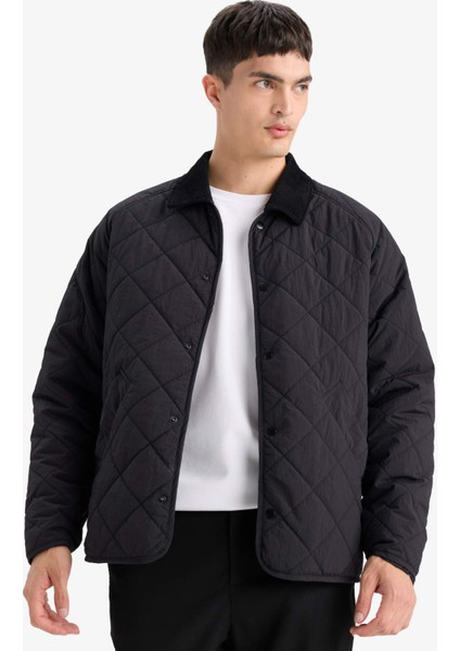 Regular Fit Gömlek Yaka Çıtçıtlı Kapitoneli İç Cepli Mont F0956AX25AU fırsatları