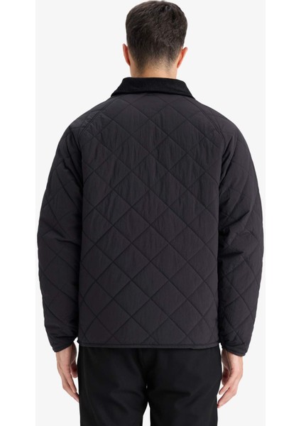 Regular Fit Gömlek Yaka Çıtçıtlı Kapitoneli İç Cepli Mont F0956AX25AU