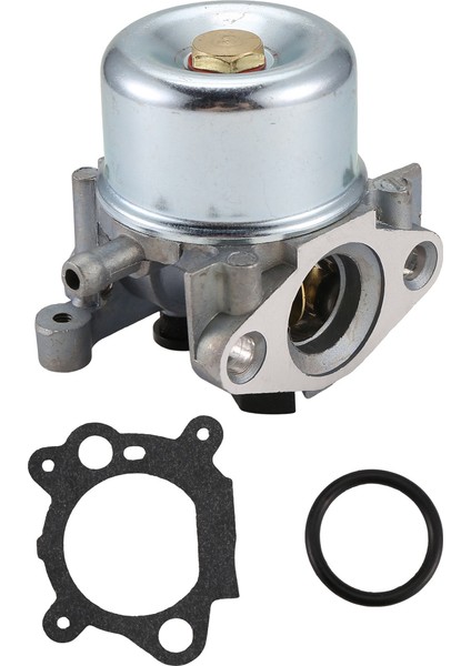 Briggs &amp; Stratton Karbüratör Için 799866 790845 799871 796707 794304 Jd Çim Biçme Makinesi Için Toro Zanaatkar Motoru (Yurt Dışından) fiyatları