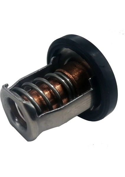 17670-94J01 Termostat 60 ℃ Suzuki Marine DF8A Için 9.9 15 20 25 30A Dıştan Takma Motorlar 17670-94J00 17670-94J02 Motor Parçaları (Yurt Dışından) modelleri