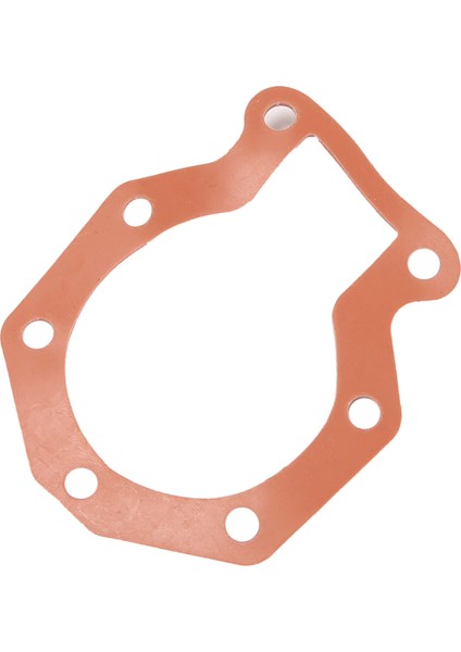 Johnson Evinrude Karbüratör Aksesuarları Için Karbüratör Onarım Kiti 439073 0439073 (Yurt Dışından) indirimleri