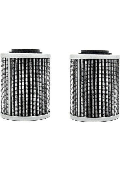 2 Pcs 420956124 2017 Skı-Doo Expedition Le Se Sport 600 900 1200 Için Petrol Filtresi (Yurt Dışından)