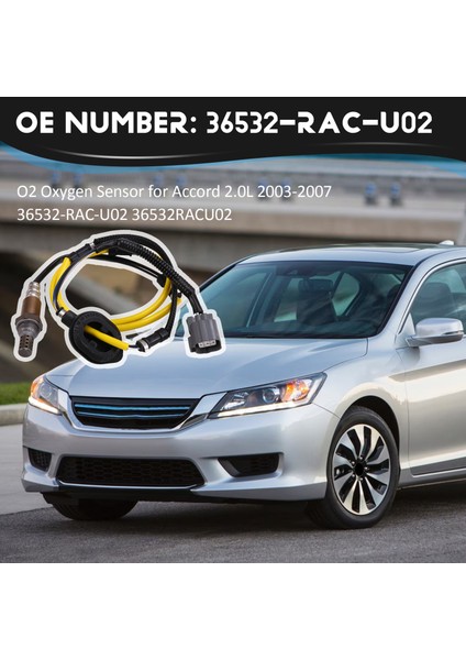 Honda Accord Için O2 Oksijen Sensörü 2.0l 2003-2007 36532-RAC-U02 36532RACU02 (Yurt Dışından) fırsatları