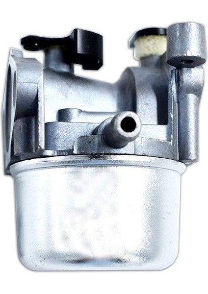 Briggs &amp; Stratton Için Karbüratör Kitleri 799866 790845 799871 796707 794304 12H800 Motor Toro Çim Biçme Çekiçlik Karbonhidrat Recycler (Yurt Dışından) modelleri