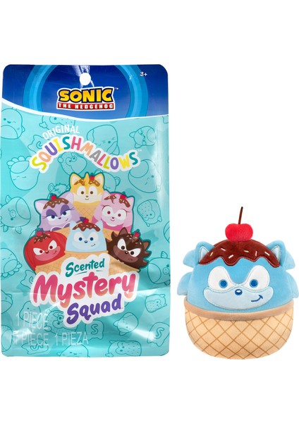 Mystery Squad Sonic Sürpriz Figür 13 cm SG00228