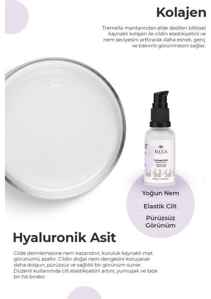 Tezgah Üstü Mini Bulaşık Makinesi White modelleri