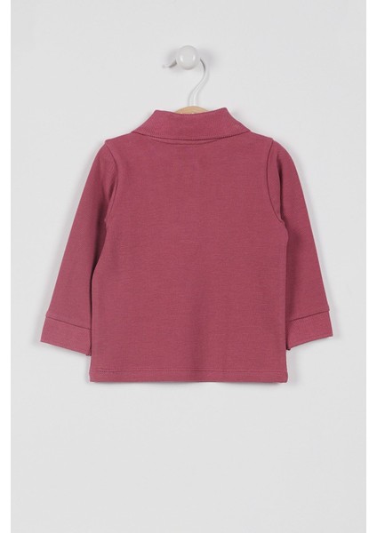 U.s. Polo Assn Lisanslı Classic Gül Kurusu Bebek Uzun Kol Yakalı Sweatshirt fiyatları