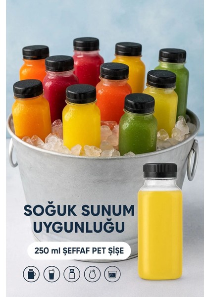 10 Adet Smoothie Detoks Şişesi Şeffaf Plastik Sızdırmaz Kapak Köşeli Meyve Suyu Şişesi 250 ml
