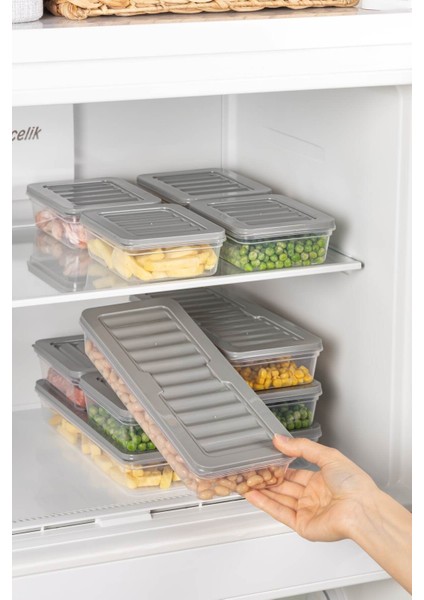 24'lü Set Freshbox Mikrodalga ve Difrize Uygun Saklama Kabı Gri