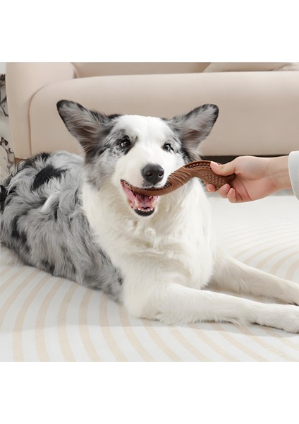 Chewood Small Twist Köpek Oyuncağı fırsatları