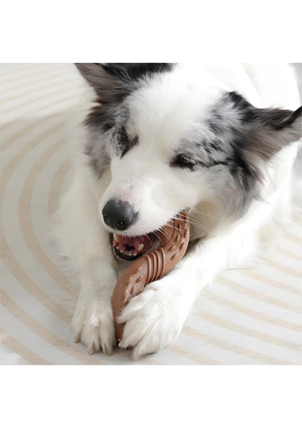 Chewood Small Twist Köpek Oyuncağı indirimleri