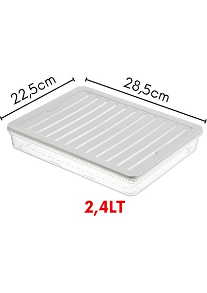 4'lü Set Freshbox Mikrodalga ve Difrize Uygun Saklama Kabı fiyatları