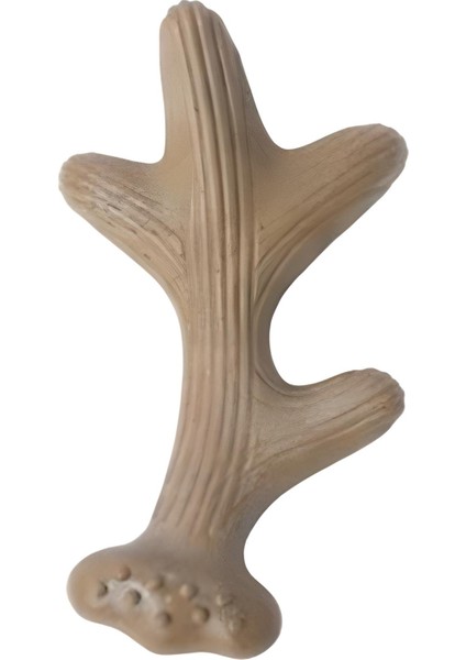 Chewood Small Branch Köpek Oyuncağı modelleri