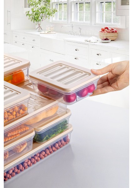 36 Parçalı Set Freshbox Mikrodalga ve Difrize Uygun Saklama Kabı Seti modelleri