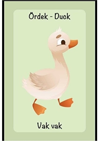 Resimli Ses Kavram Kartları 58 Kavram ile Görsel Algıyı Geliştiren Eğitim Seti