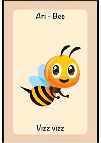 Resimli Ses Kavram Kartları 58 Kavram ile Görsel Algıyı Geliştiren Eğitim Seti