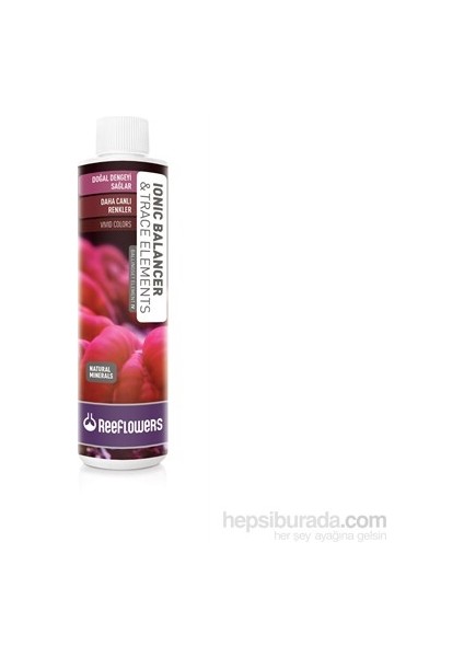 Ionic Balancer & Trace Elements - BallingSet Element 4 250 ml