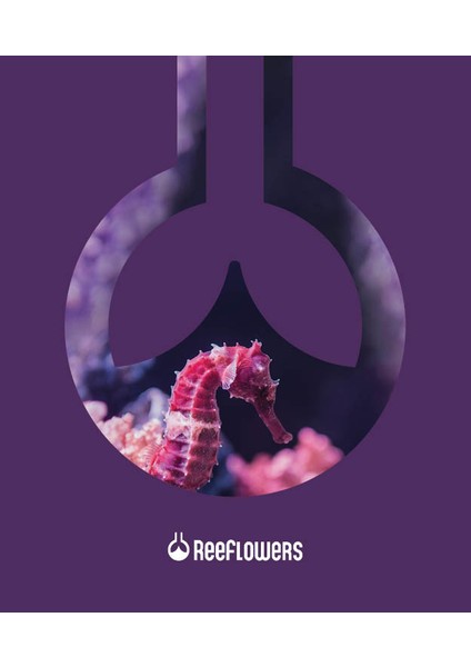 Discus+ 500 ml /280 gr fiyatları