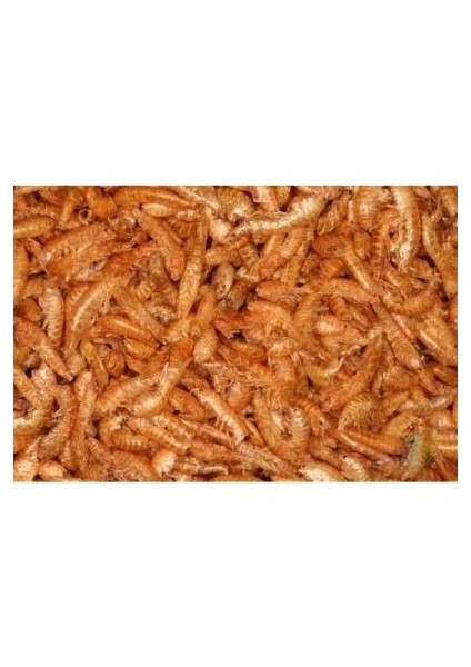 Kurutulmuş Karides (Gammarus) 100 gr