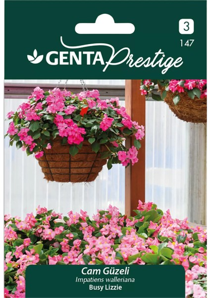 Prestige Cam Güzeli Tohumu – Impatiens Walleriana, Gölgeli Alanlar Için Canlı Bahçe Çiçeği