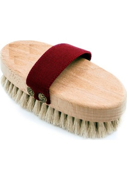 At Kılı Elbise Fırçası fırsatları