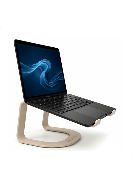 Lifter Ergonomik Metal Notebook & Laptop Standı - Gold