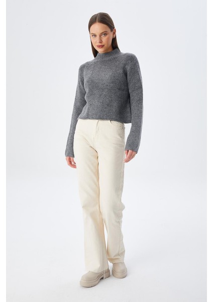 6854 Kadın Dik Yaka Bütün Crop Triko Kazak Antrasit modelleri